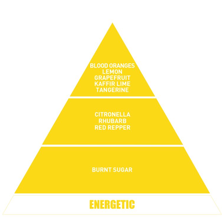 Be in a Good Mood Energetic Candle (6.34 oz.fl)