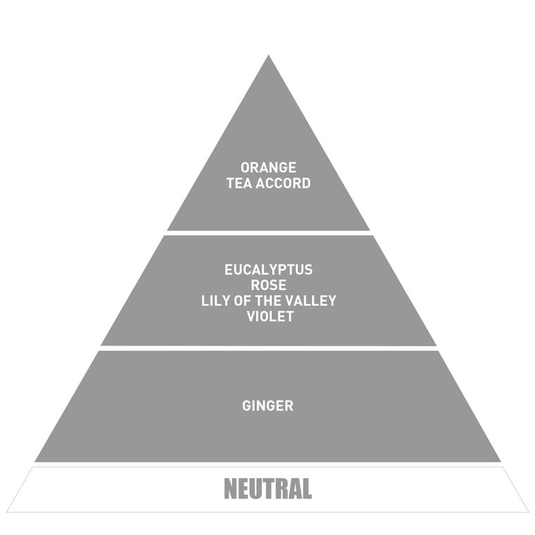 Be in a Good Mood Neutral Candle (6.34 oz.fl)