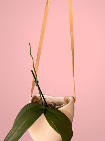 the pinks kit